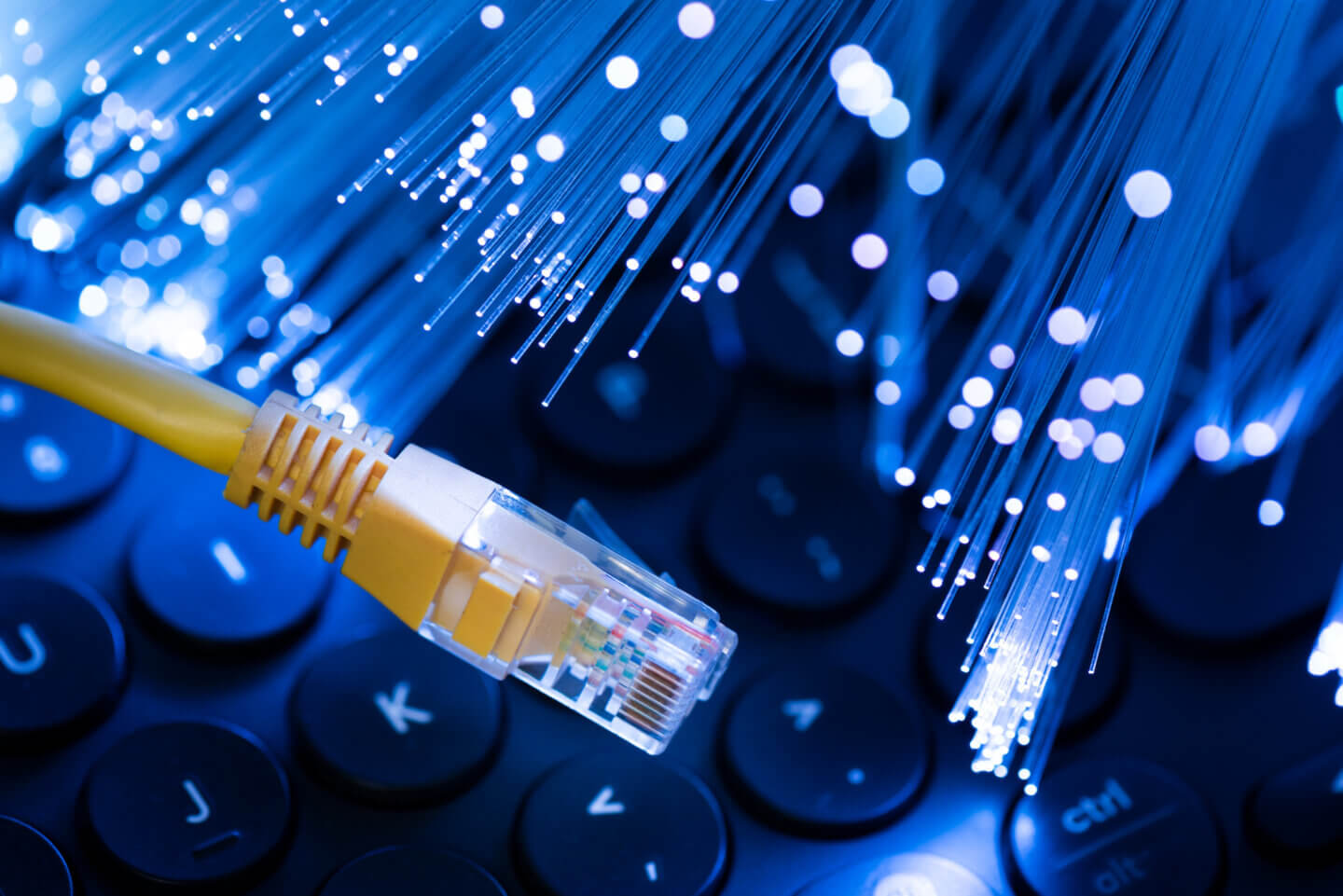 Data & Fiber Optic Cabling