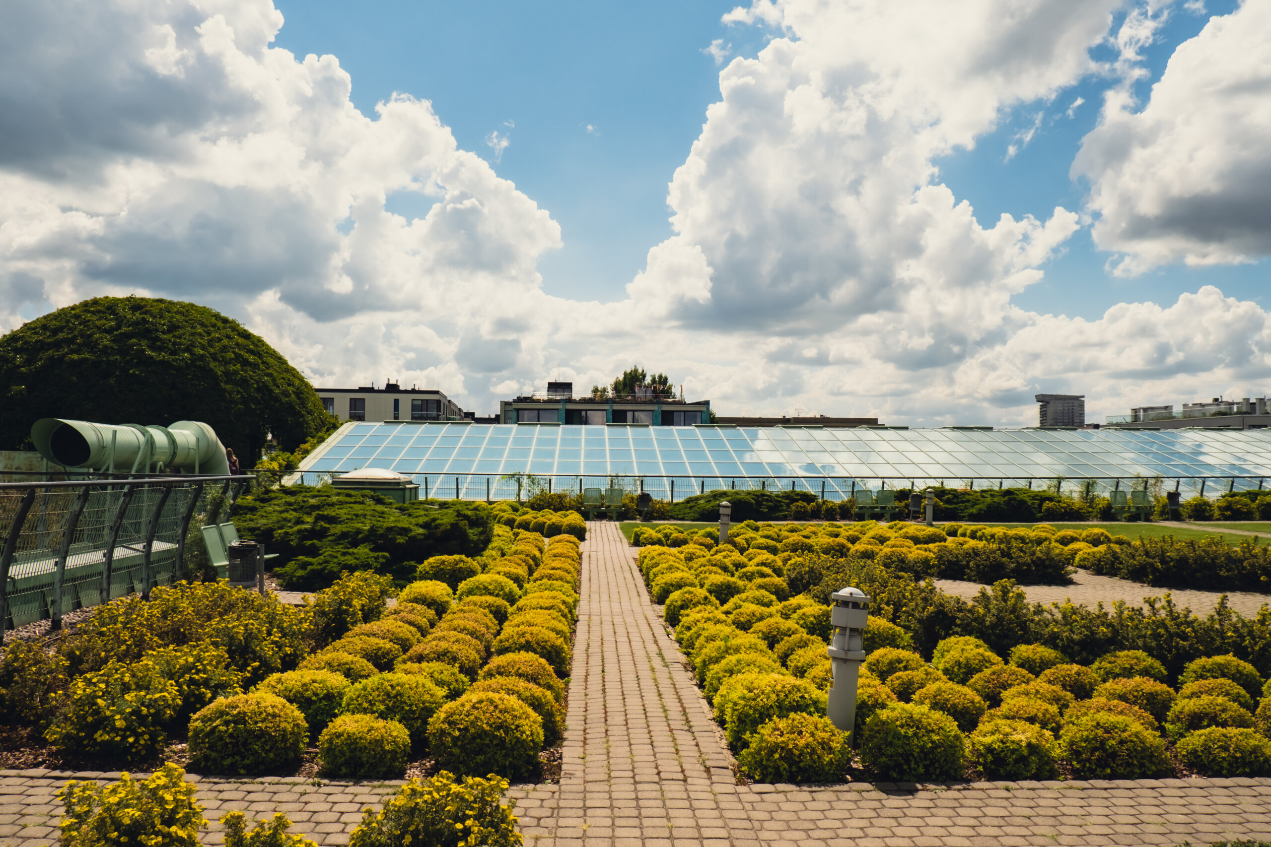 A pathway leading through a garden with a variety of bushes and a building with a large solar panel installation on the rooftop of a college.