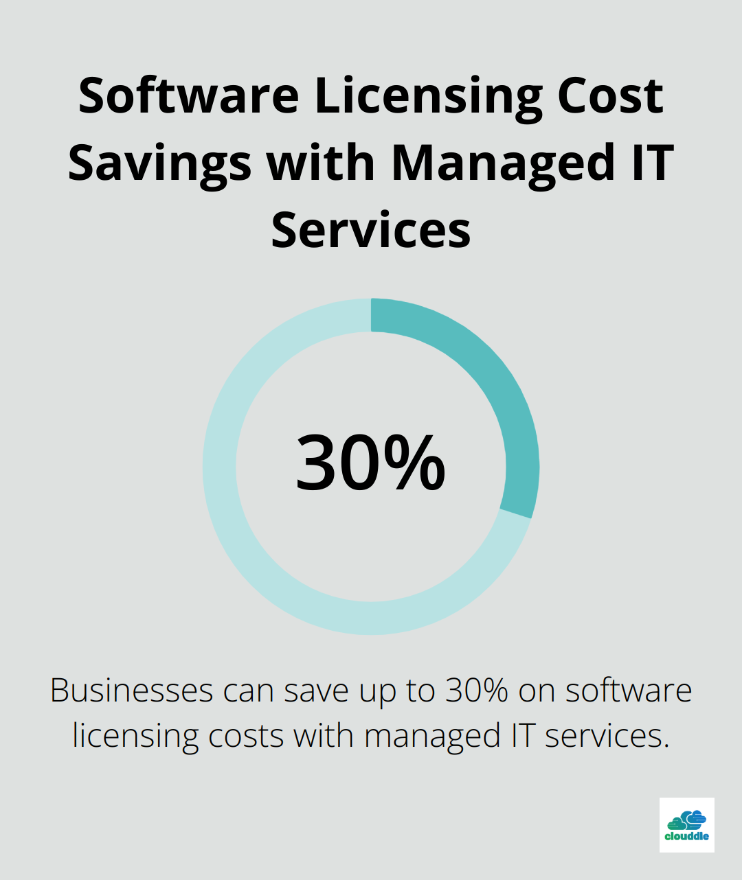 Pie chart showing 30% cost savings on software licensing with managed IT services