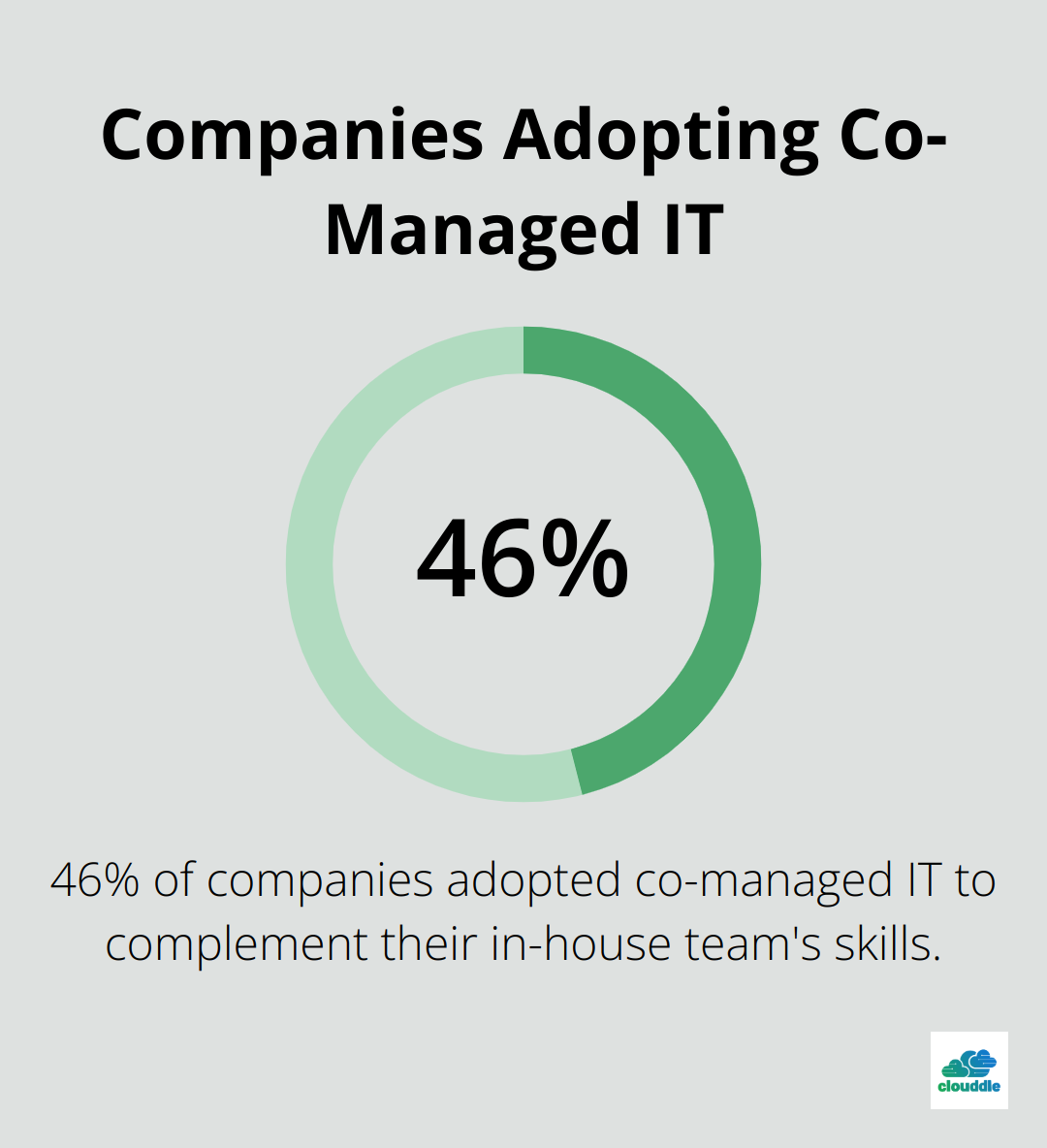 A percentage chart showing that 46% of companies adopted co-managed IT to complement their in-house team's skills. - co-managed it support