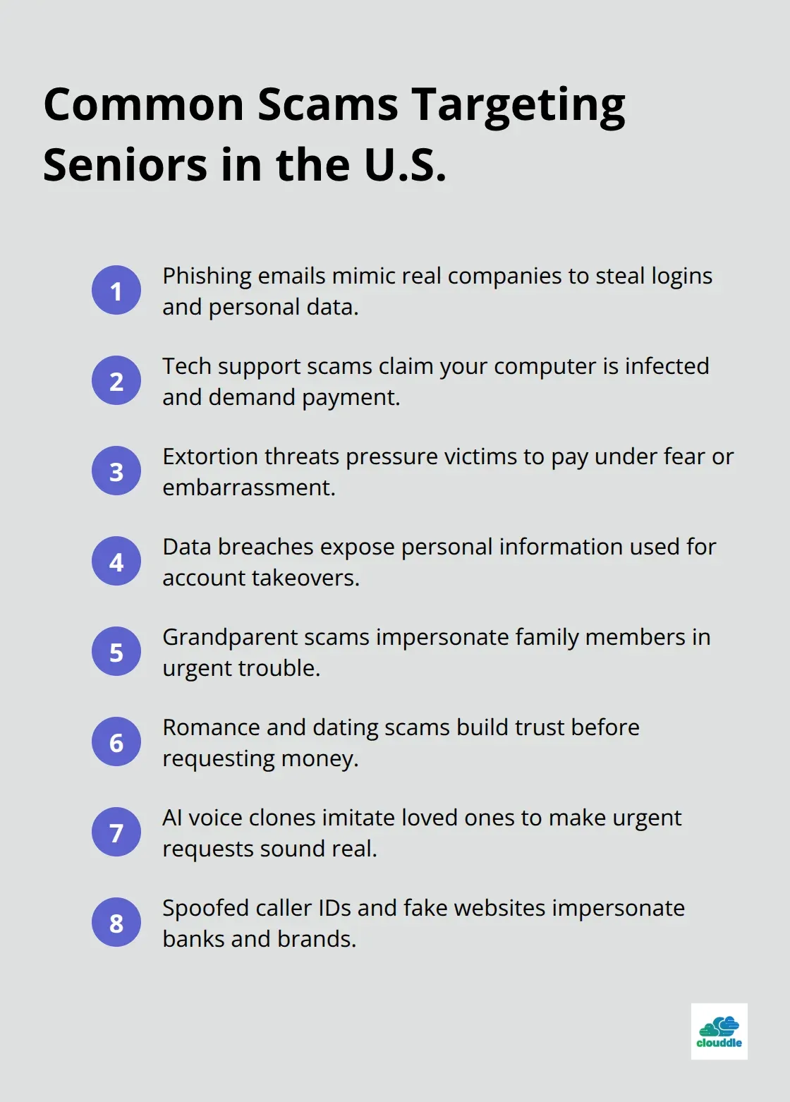 A compact list highlighting the most common online scams targeting U.S. seniors.